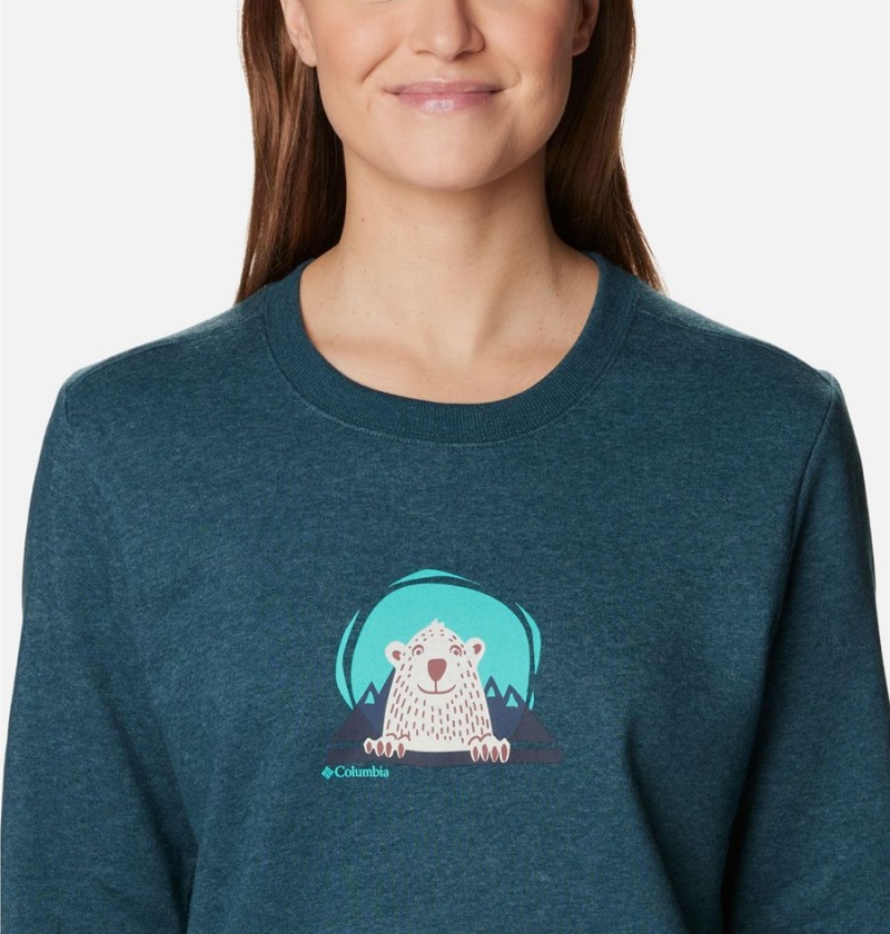 Turquoise Columbia Hart Mountain II Graphic Crew Women's Pullover | 34650ZEKN