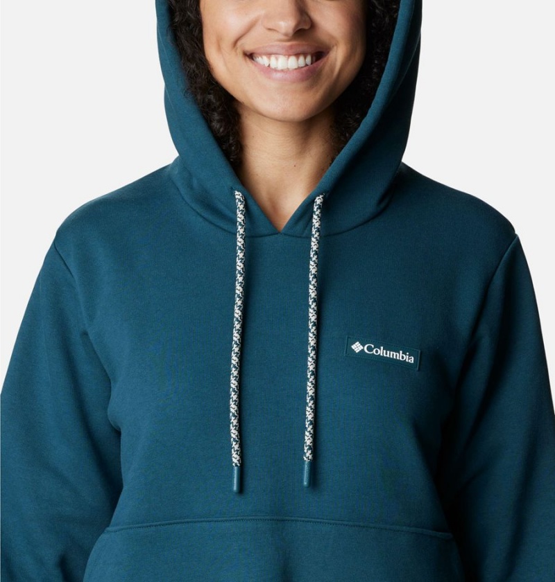 Turquoise Columbia Marble Canyon Women's Hoodie | 08527UFCW