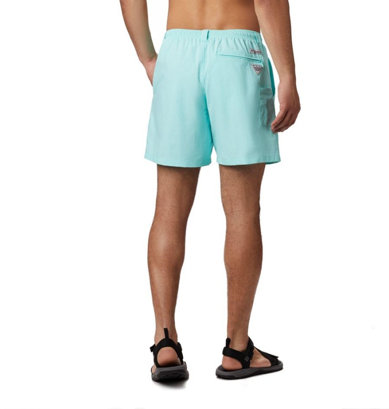 Turquoise Columbia PFG Backcast III Water Men's Shorts | 12970HPXS