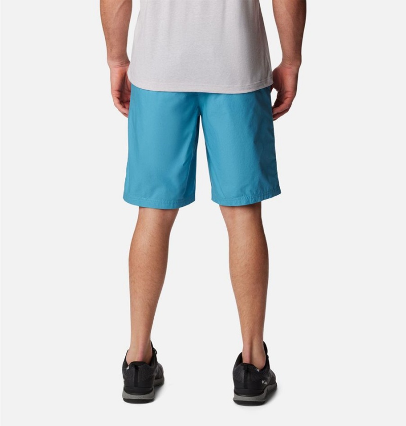 Turquoise Columbia Washed Out Men's Shorts | 71392XGSP